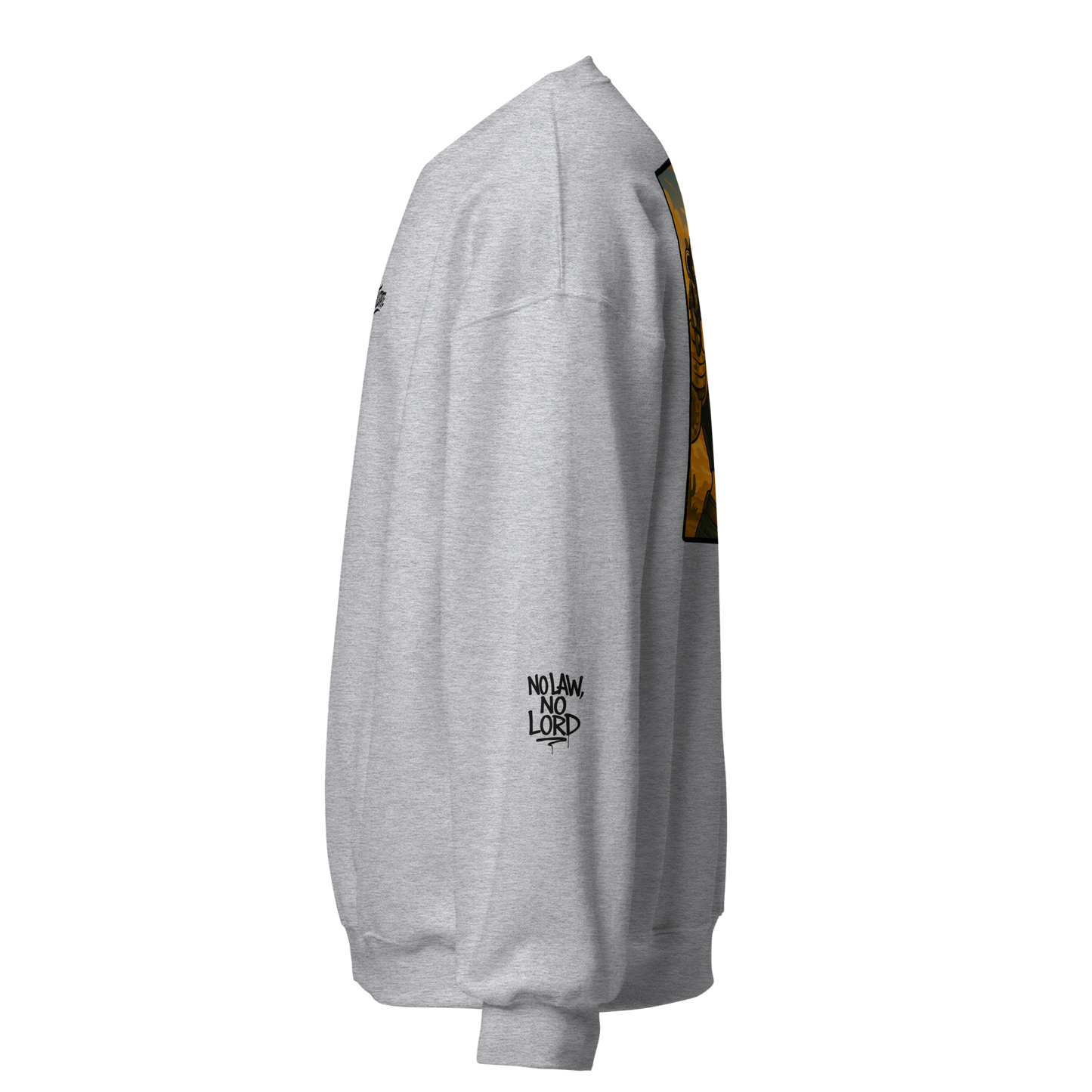 Szara bluza typu sweatshirt (tył)