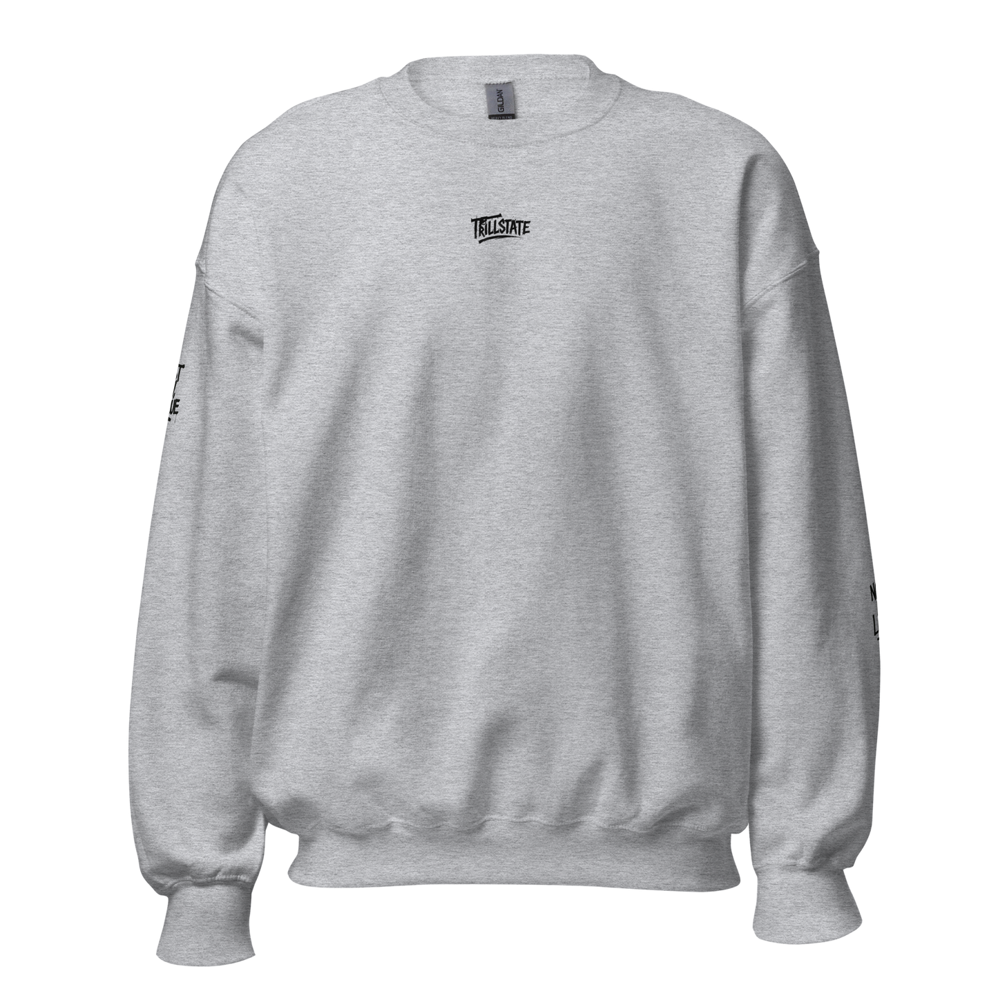 Szara bluza typu sweatshirt (tył)